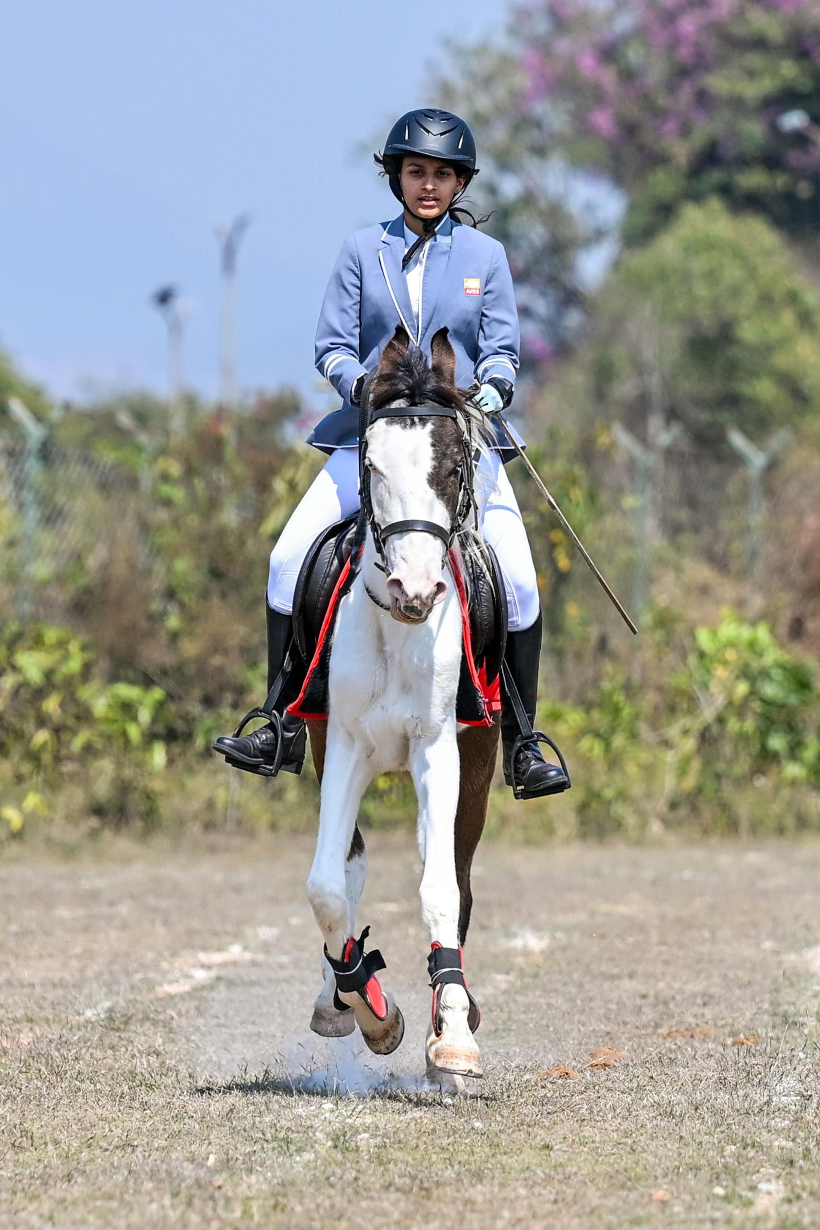 Equestrian — Amber Valley Residential School