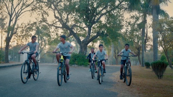 Students cycling on a tree-lined campus road at sunset
